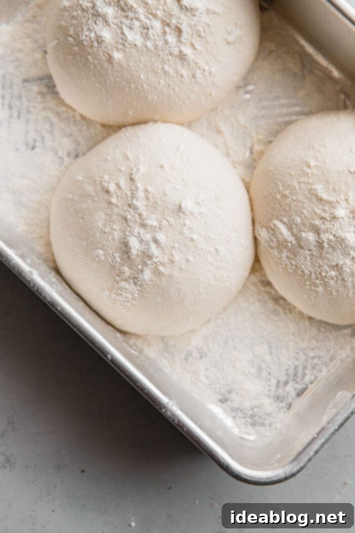 Artisan Sourdough Pizza Dough 16 Sourdough Pizza Dough Balls in Proofing Container, perfectly proofed
