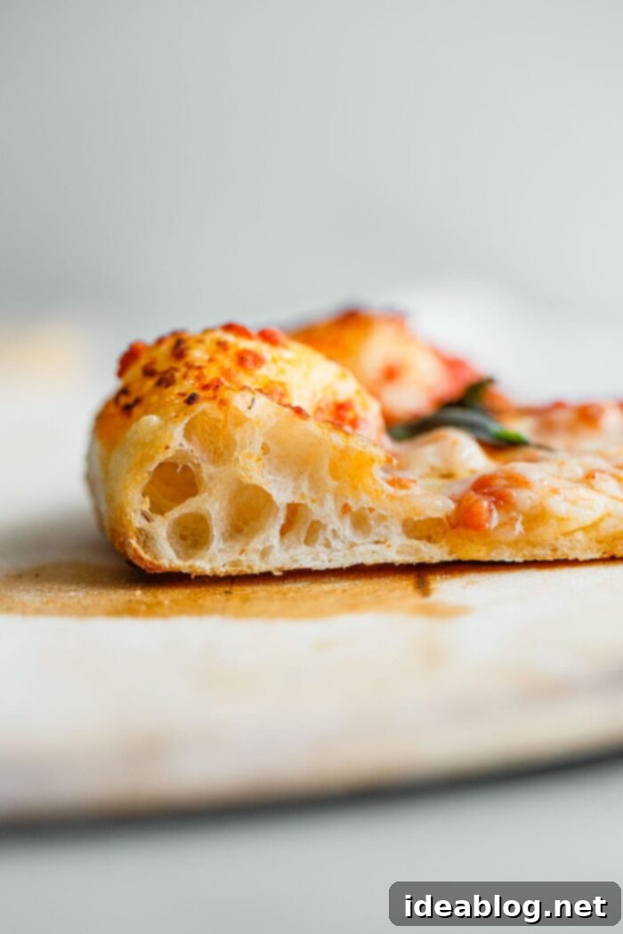 Artisan Sourdough Pizza Dough 18 Sourdough Pizza Crust Cross Section, showing airy structure