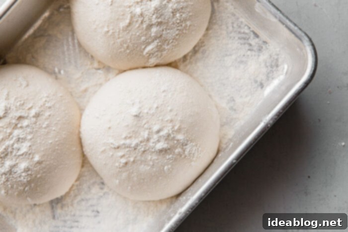 Artisan Sourdough Pizza Dough 19 Sourdough Pizza Balls, proofed and ready