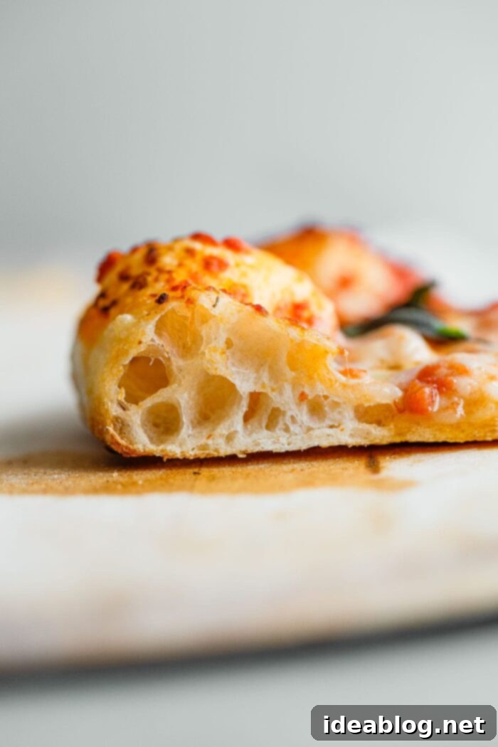 Artisan Sourdough Pizza Dough 3 Crispy Sourdough Pizza Crust