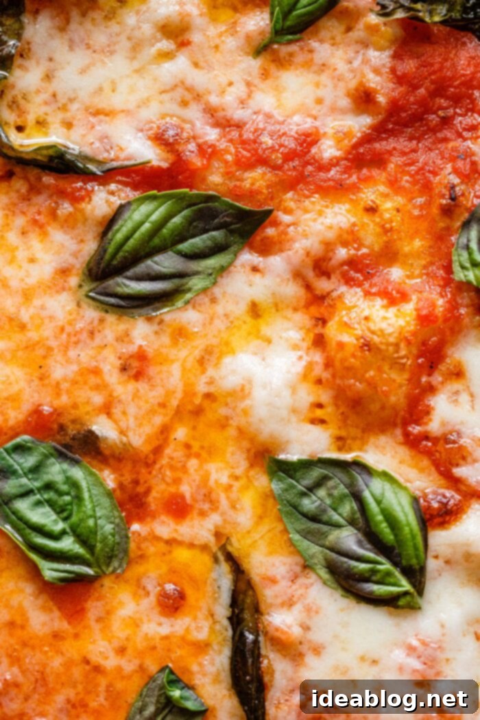 Artisan Sourdough Pizza Dough 28 Margherita Sourdough Pizza Topping Close Up, showing fresh basil and melted mozzarella