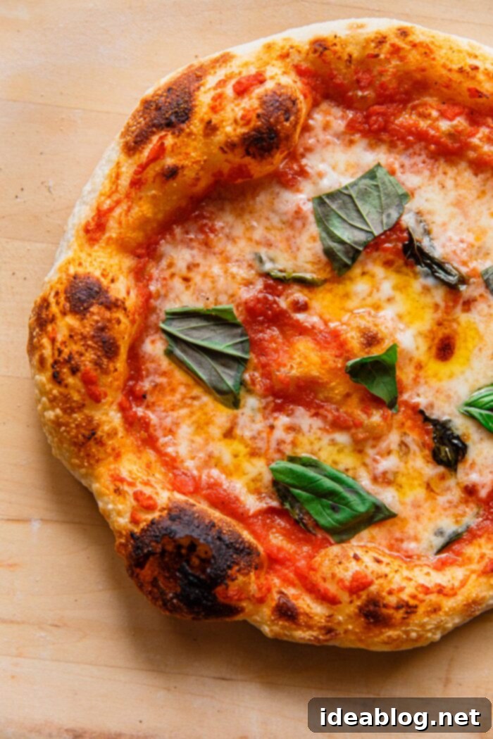 Artisan Sourdough Pizza Dough 30 Sourdough Pizza with Mozzarella Tomato and Basil, perfectly baked