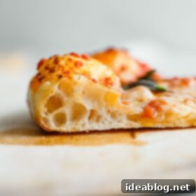 Artisan Sourdough Pizza Dough 31 Sourdough Pizza Crust Cross Section