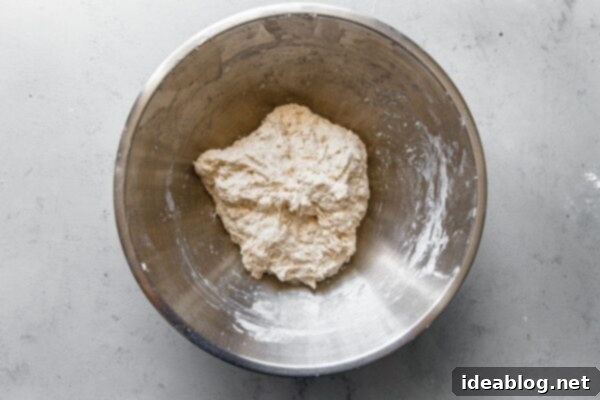 Artisan Sourdough Pizza Dough 34 Mixed Sourdough Pizza Dough