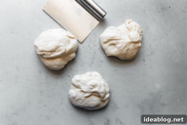 Artisan Sourdough Pizza Dough 36 Divided Pizza Dough
