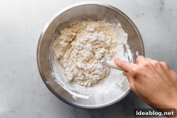 Artisan Sourdough Pizza Dough 6 Mixing Pizza Dough with Danish Dough Whisk