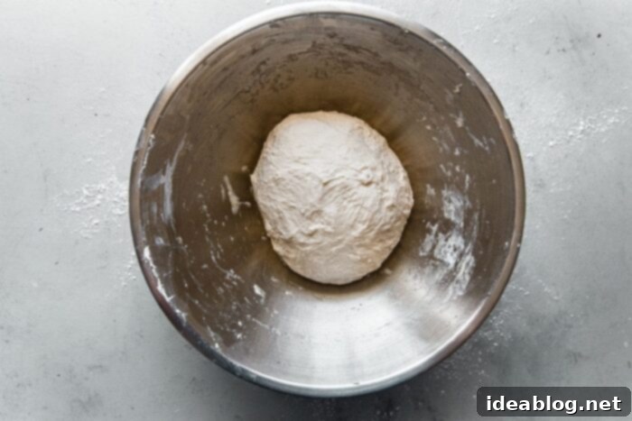 Artisan Sourdough Pizza Dough 9 Sourdough Pizza Dough Before Proofing
