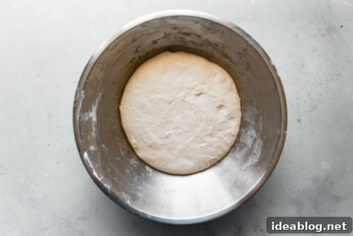Artisan Sourdough Pizza Dough 10 Proofed Sourdough Pizza Dough
