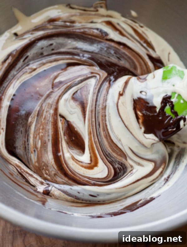 Exotic Chocolate Passion Fruit Roulade 4 Chocolate Roll Cake Batter
