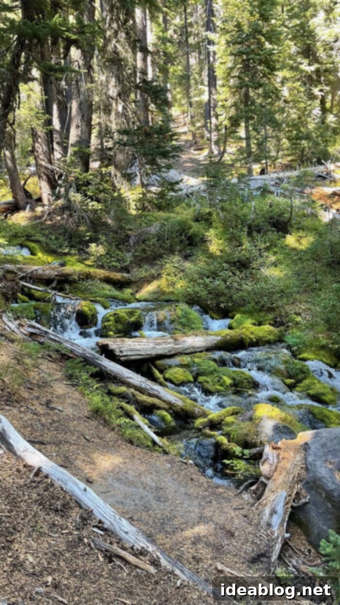 Our Permanent New Home 3 Bend Oregon Mountain Hike - Exploring the Natural Beauty of the Pacific Northwest