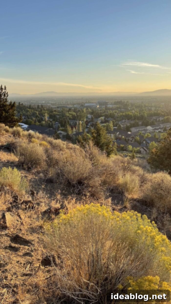 Our Permanent New Home 10 Bend Oregon Pilot Butte - Iconic Landmark and Scenic Viewpoint