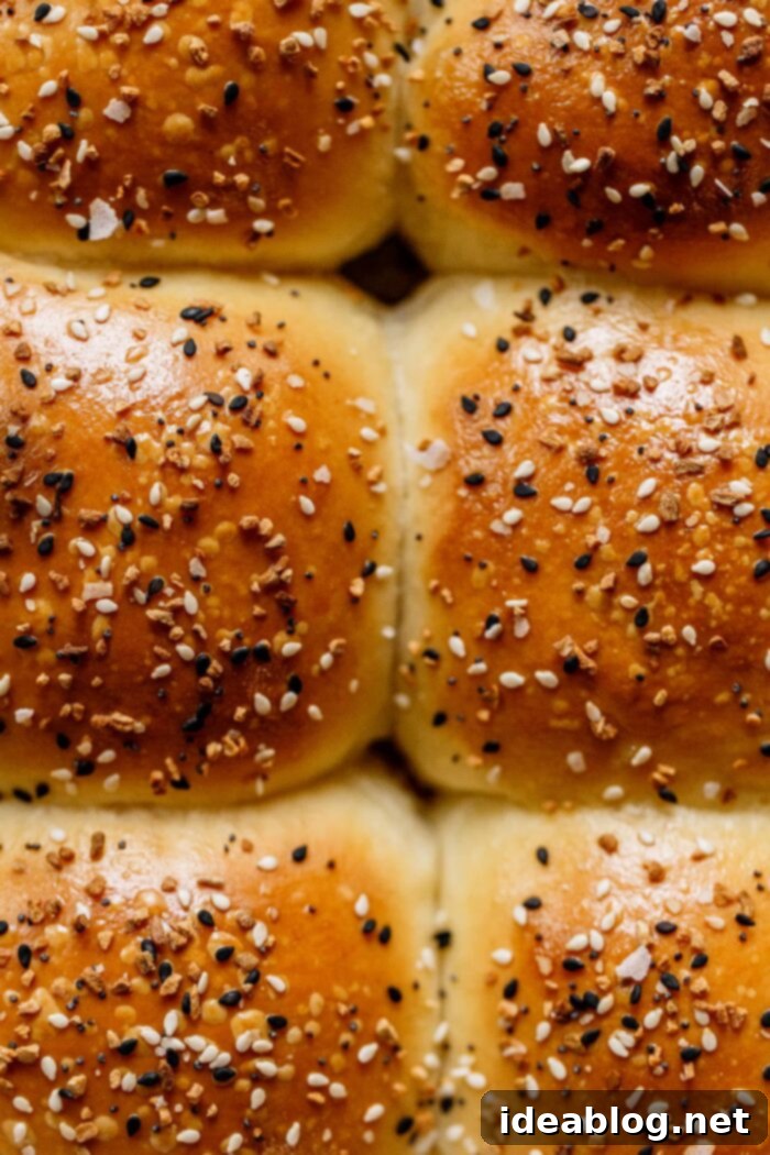 Ultimate Everything Dinner Rolls 18 A full tray of golden-brown Everything Dinner Rolls.