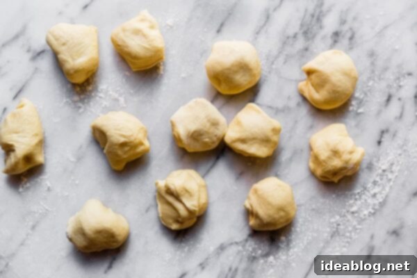 Ultimate Everything Dinner Rolls 27 Divided Dinner Roll Dough