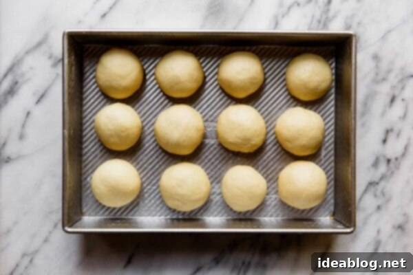 Ultimate Everything Dinner Rolls 28 Shaped Dinner Rolls in Baking Pan