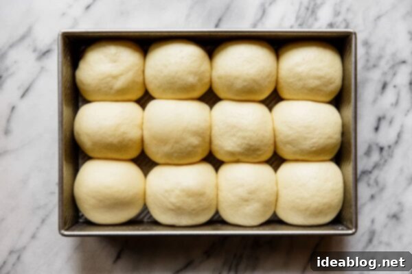 Ultimate Everything Dinner Rolls 29 Proofed Dinner Rolls in Baking Dish