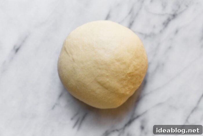 Ultimate Everything Dinner Rolls 9 Smooth, elastic kneaded dinner roll dough formed into a ball.