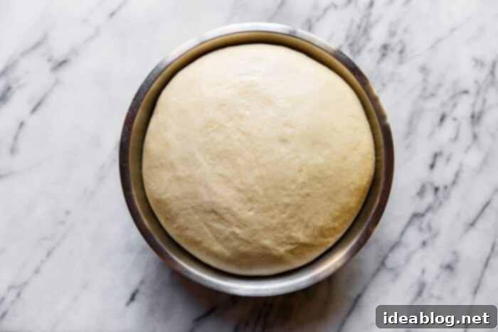 Ultimate Everything Dinner Rolls 10 Proofed dinner roll dough, doubled in size and ready for shaping.