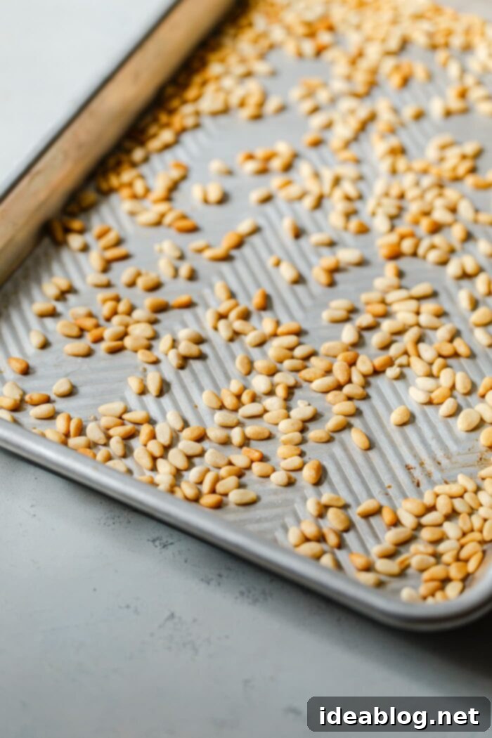 How to Perfectly Toast Pine Nuts 3 Pine Nuts Toasting to Golden Perfection in an Oven