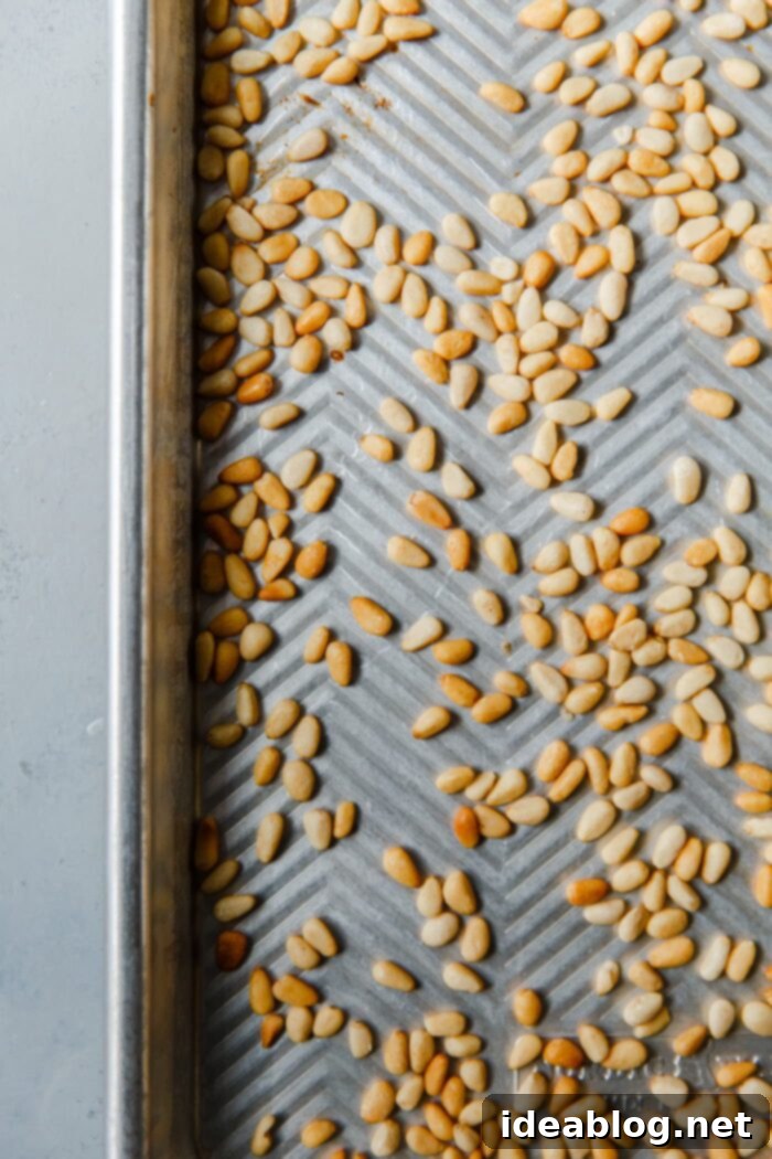 How to Perfectly Toast Pine Nuts 5 Freshly Toasted Golden Pine Nuts on a Baking Sheet, Cooling Down