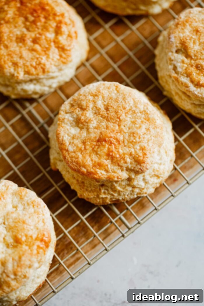 Lemon Cloud Strawberry Shortcakes 8 Shortcake Biscuits on Rack
