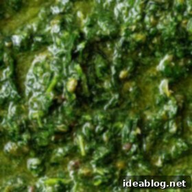 Vibrant Green Salsa Verde 8 Green Herb Salsa Verde