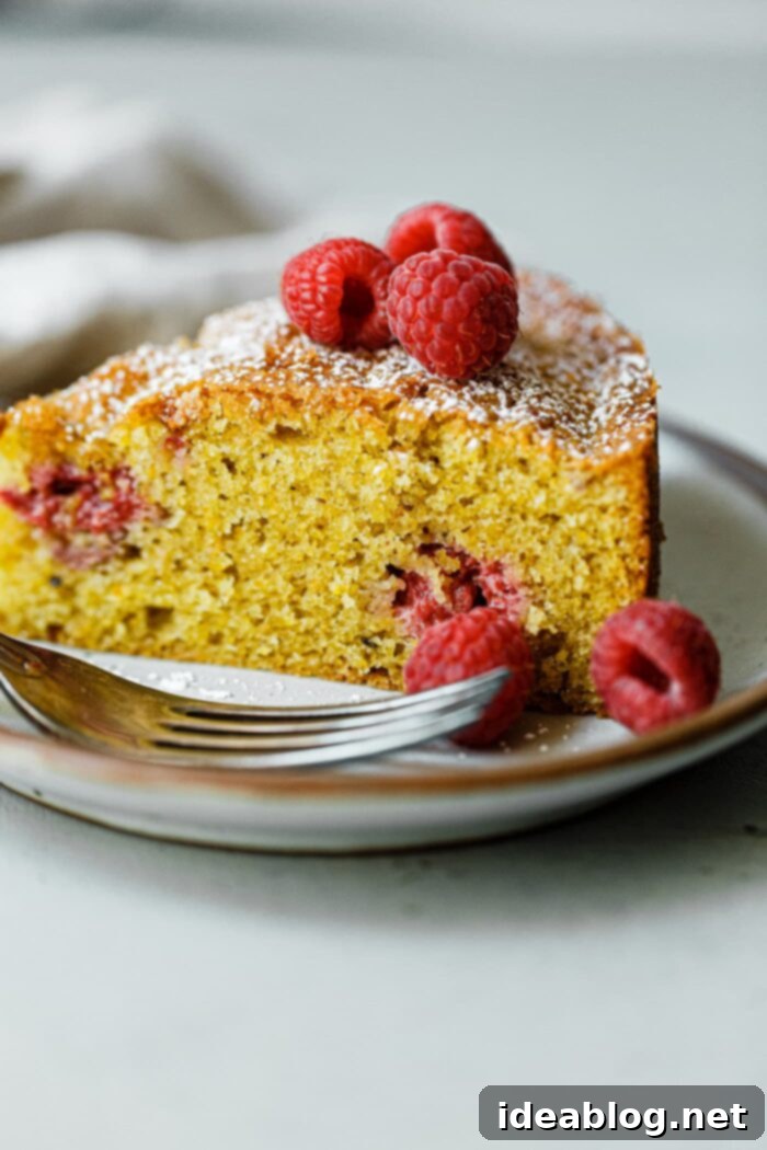 Raspberry Pistachio Perfection 2 Slice of Raspberry Pistachio Cake