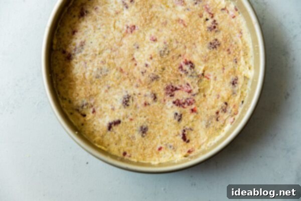 Raspberry Pistachio Perfection 16 Raspberry Pistachio Cake Batter in Pan
