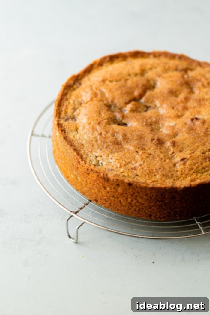 Raspberry Pistachio Perfection 3 Raspberry Pistachio Cake Recipe