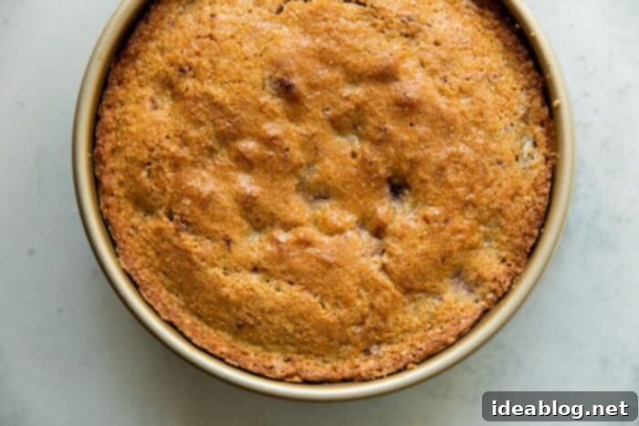 Raspberry Pistachio Perfection 10 Baked Raspberry Pistachio Cake