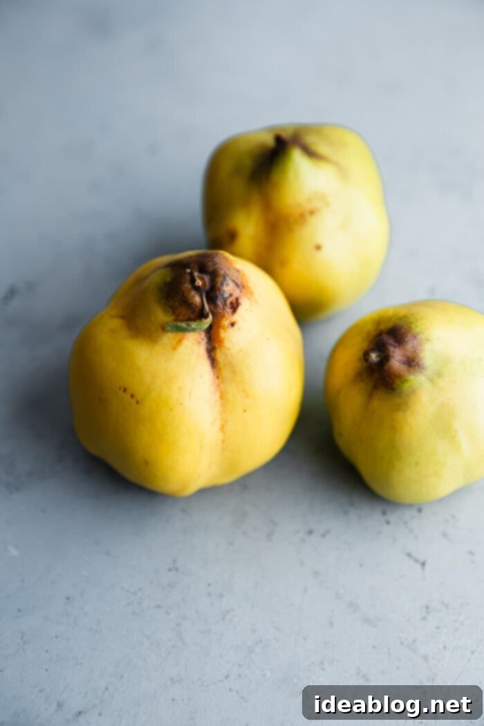 Silken Poached Quince 3 Fresh Quince Fruit on a wooden surface, showing its unique shape and yellow color