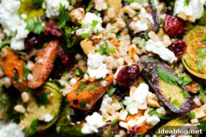 Autumn Harvest Farro Bowl 12 Close-up of Fall Farro Salad, showing the texture of farro, roasted vegetables, and colorful toppings