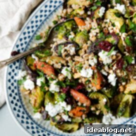 Autumn Harvest Farro Bowl 14 Fall Farro Salad presented on a beautiful platter