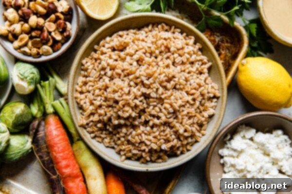 Autumn Harvest Farro Bowl 16 Cooked Farro in Bowl