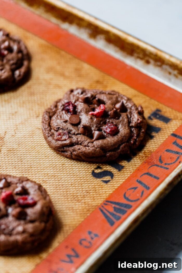 Gooey Chocolate Cranberry Delights 3 Freshly Baked Chewy Chocolate Cranberry Cookies on a Cooling Rack
