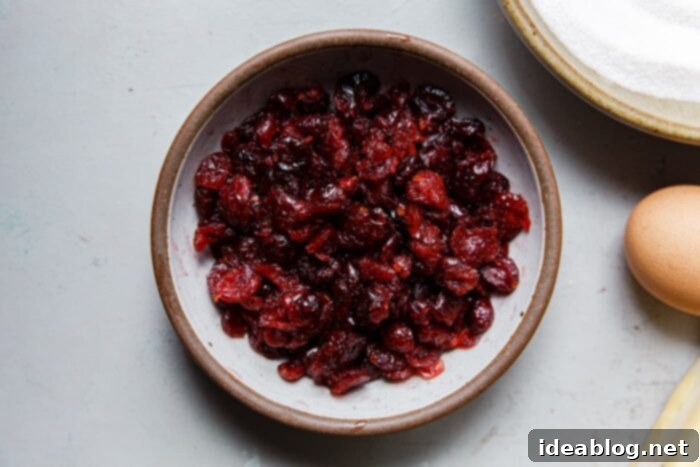 Gooey Chocolate Cranberry Delights 7 Rehydrated Dried Cranberries Ready for Baking