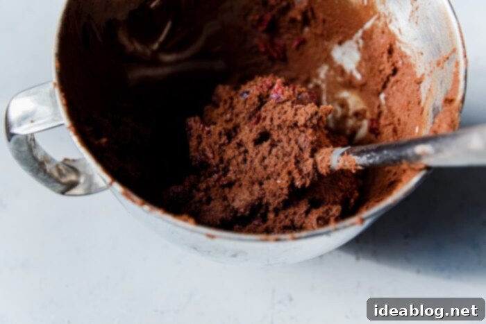 Gooey Chocolate Cranberry Delights 8 Rich Chewy Chocolate Cranberry Cookie Dough in a Mixing Bowl