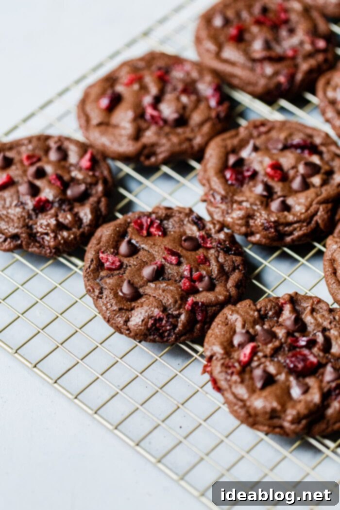 Gooey Chocolate Cranberry Delights 9 Freshly Baked Chewy Chocolate Cranberry Cookies on a Cooling Rack
