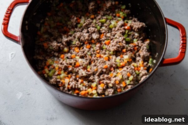 Marcella Hazan's Signature Bolognese 12 How to Make Marcella Hazan Bolognese Sauce: Adding Milk and Wine