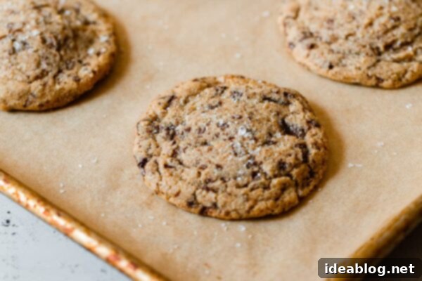 Ultimate Chocolate Chunk Cookies 14 Chocolate Chunk Cookies on Baking Sheet