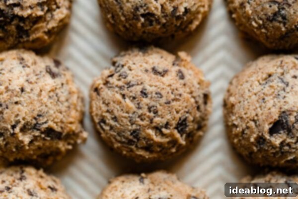 Ultimate Chocolate Chunk Cookies 15 Frozen Cookie Dough Scoops