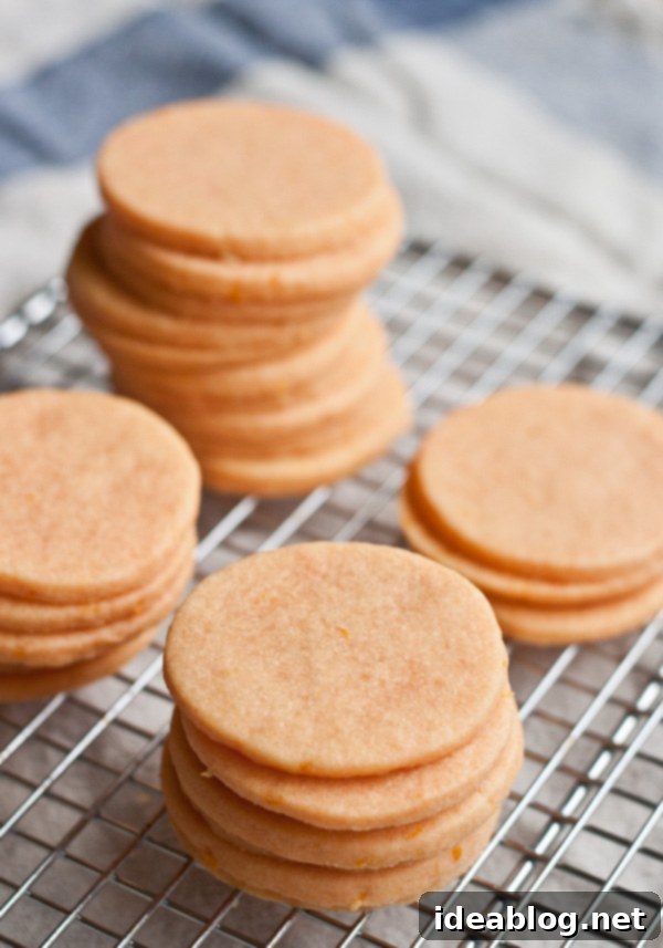 Bright Citrus Cremes 4 Citrus Sandwich Cookies