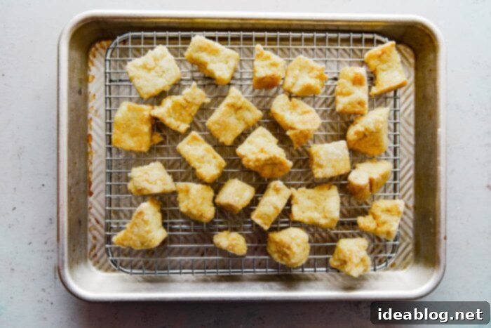 Spicy Peanut Crunch Tofu 10 Baked Crispy Tofu on Wire Rack