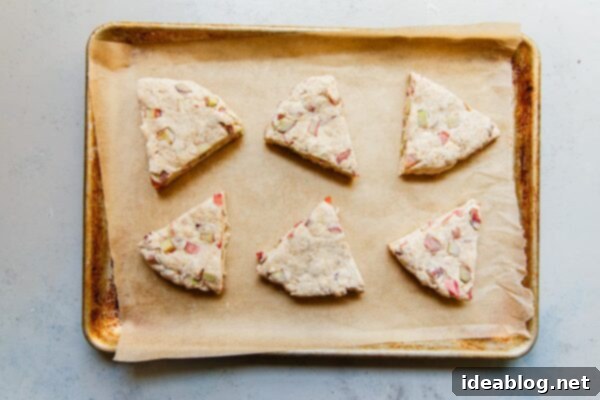 Zesty Orange Glazed Rhubarb Scones 15 Rhubarb Scone Dough on Baking Sheet
