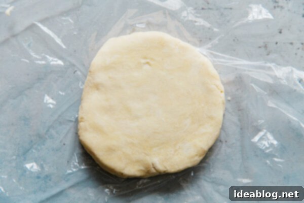 Ultimate Flaky Quiche Pastry 13 Quiche Dough Wrapped in Plastic Wrap
