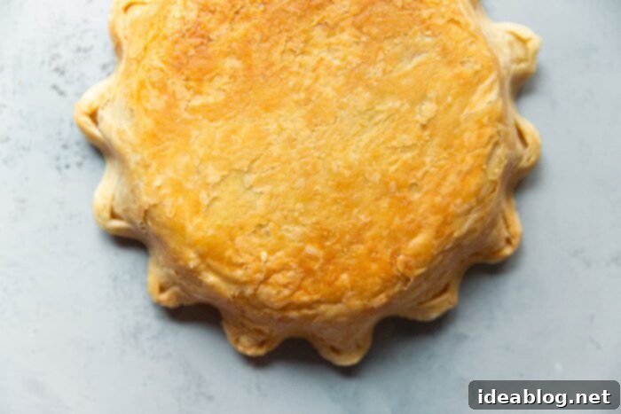 Ultimate Flaky Quiche Pastry 3 Pre Baked Quiche Crust