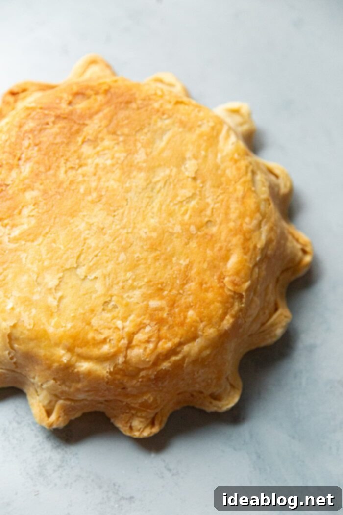 Ultimate Flaky Quiche Pastry 9 Pre Baked Quiche Crust