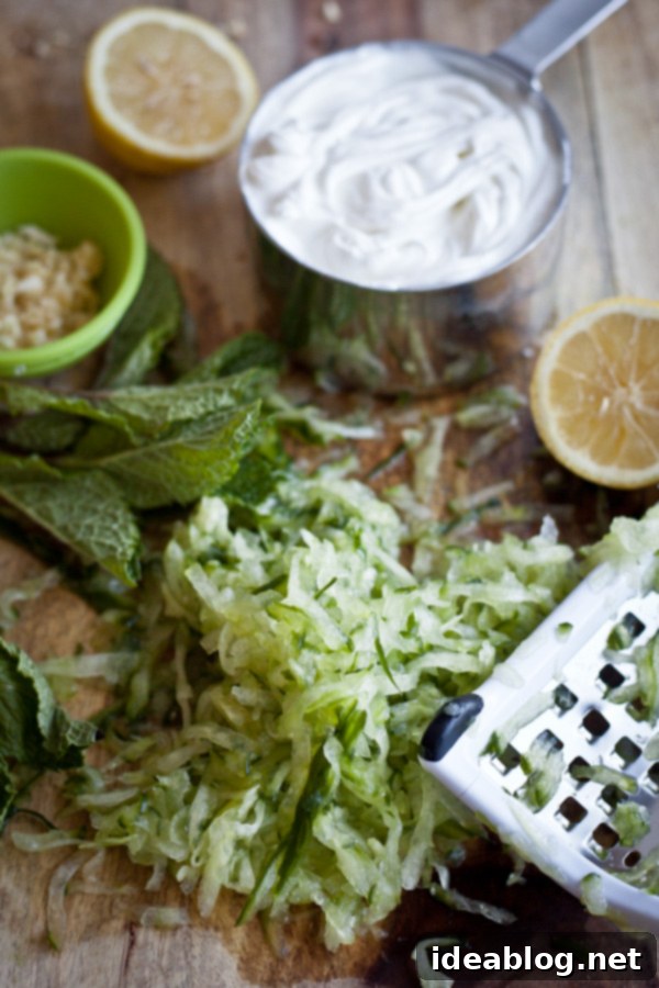 Oven-Baked Spicy Fries with Refreshing Raita 4 Homemade Raita Ingredients