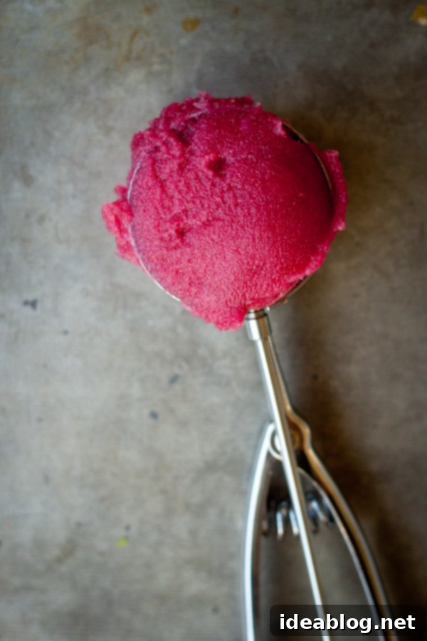 Zesty Pomegranate Ginger Sorbet 4 Homemade Pomegranate Sorbet in Scoop