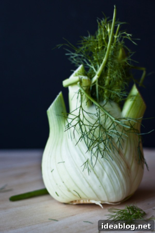 Zesty Lemon Fennel Kale Pasta 3 Fennel Bulb