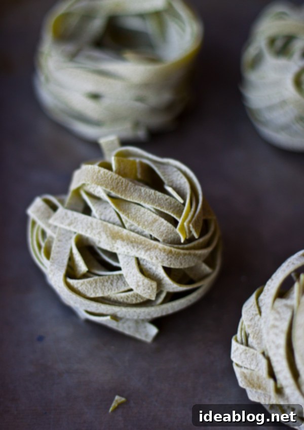 Zesty Lemon Fennel Kale Pasta 4 Spinach Fettuccine Bundles